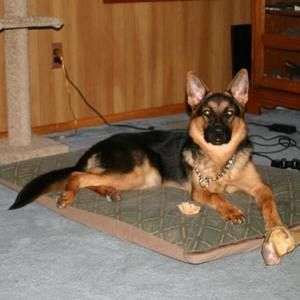 Meet your Posher, Kim